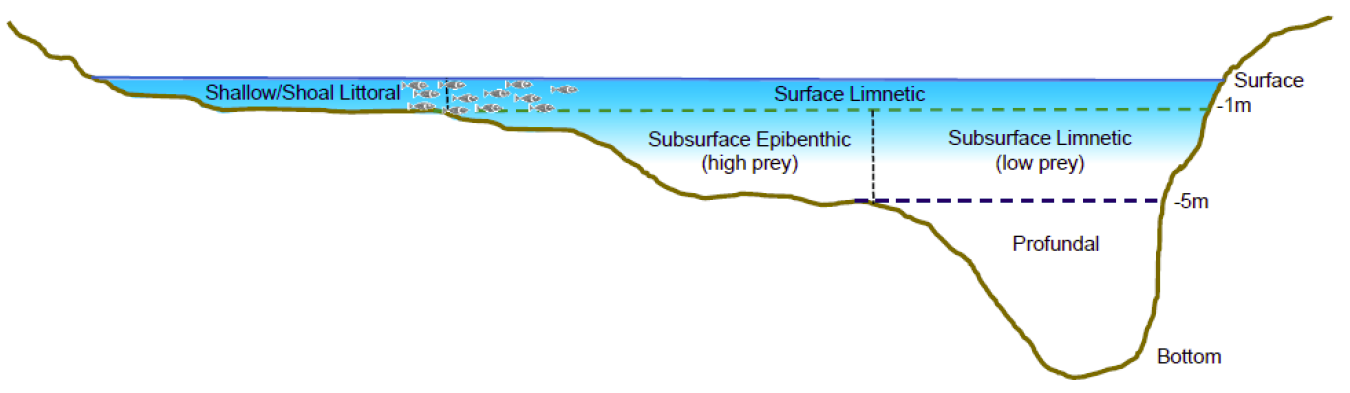 Depth categories